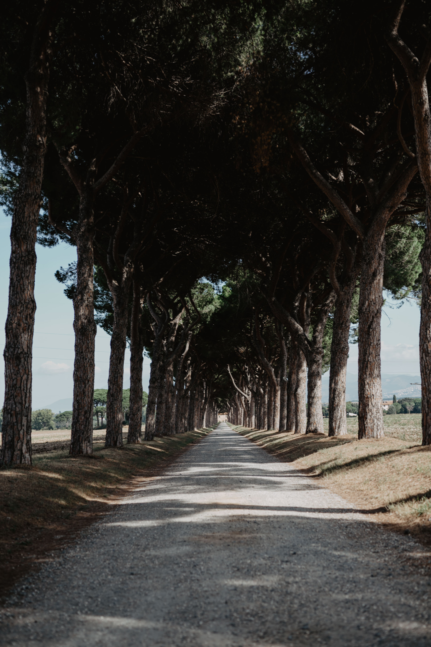 Tenuta Pantano Borghese